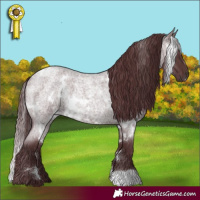 Horse Color:White Spotted Chocolate Brown Roan 