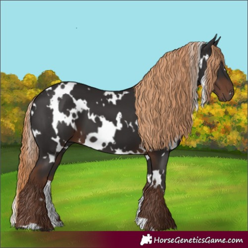 Horse Color:White Spotted Liver Chestnut 