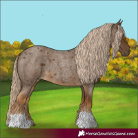 Horse Color:Chocolate Palomino Roan