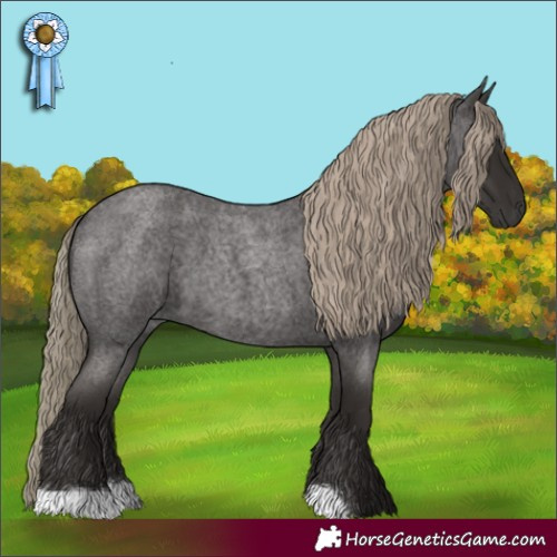 Horse Color:Liver Red Roan 