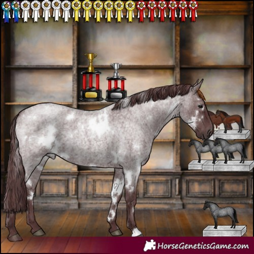 Horse Color:White Spotted Chocolate Blue Roan