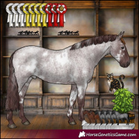 Horse Color:White Spotted Chocolate Blue Roan 