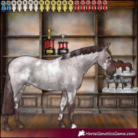 Horse Color:White Spotted Chocolate Blue Roan