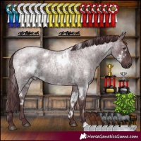 Horse Color:White Spotted Chocolate Blue Roan 