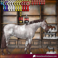 Horse Color:White Spotted Chocolate Blue Roan 