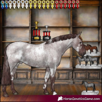 Horse Color:White Spotted Chocolate Blue Roan
