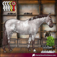 Horse Color:White Spotted Chocolate Blue Roan 