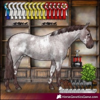 Horse Color:White Spotted Chocolate Blue Roan
