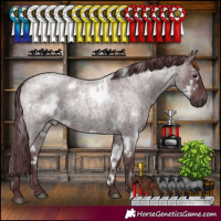 Horse Color:White Spotted Chocolate Blue Roan 