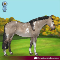 Horse Color:White Spotted Brown Dun Tobiano 