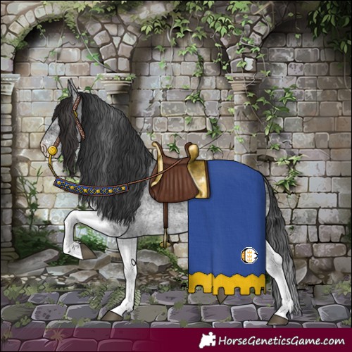 Horse Color:White Spotted Blue Roan Rabicano 