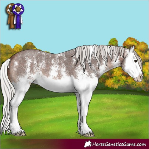 Horse Color:Silver Brown Sabino Splash 
