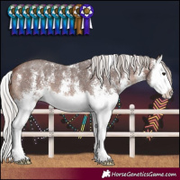 Horse Color:Silver Brown Sabino Splash