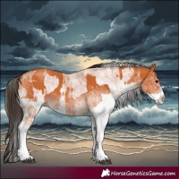 Horse Color:White Spotted Bay Splash  and White Spotted Bay Splash 