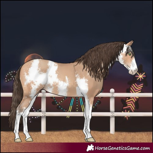Horse Color:Amber Champagne Sabino 