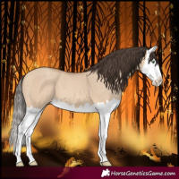 Horse Color:Amber Champagne Dun Splash 