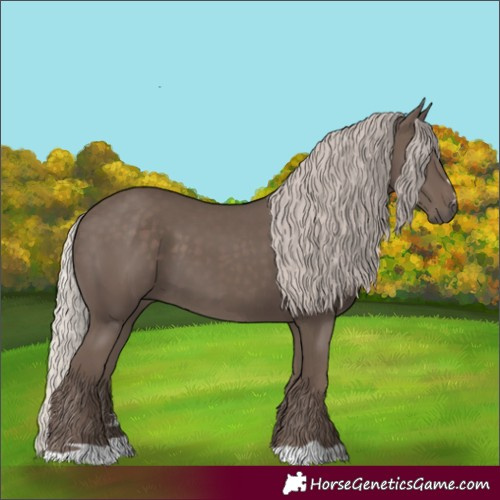 Horse Color:Silver Black 