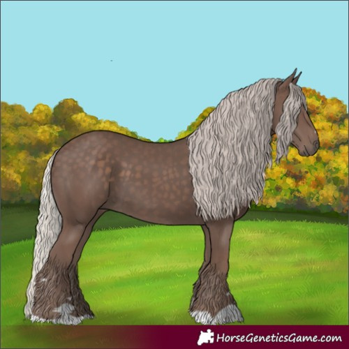 Horse Color:Silver Black 