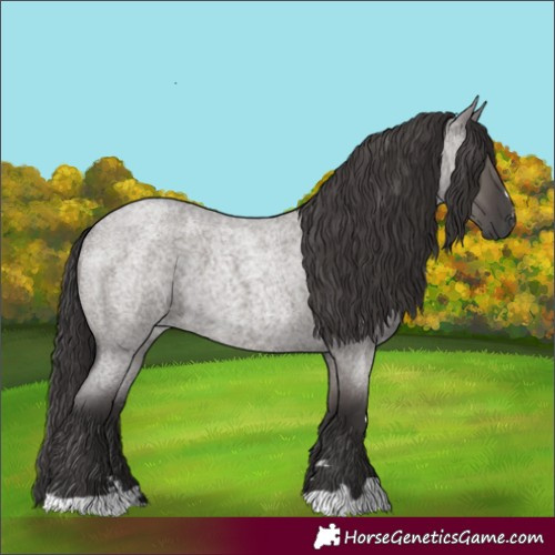 Horse Color:Smoky Grullo Roan 