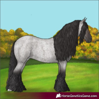 Horse Color:Smoky Grullo Roan 