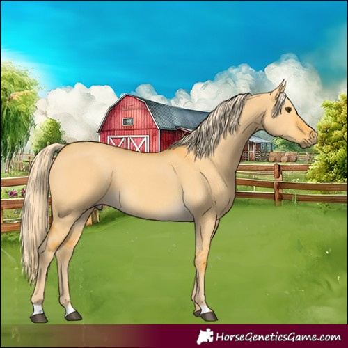 Horse Color:Palomino Dun 