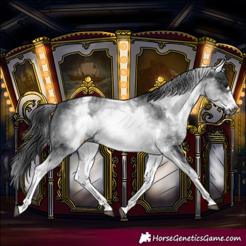 Horse Color:White Spotted Black Frame 