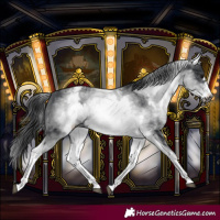 Horse Color:White Spotted Black Frame