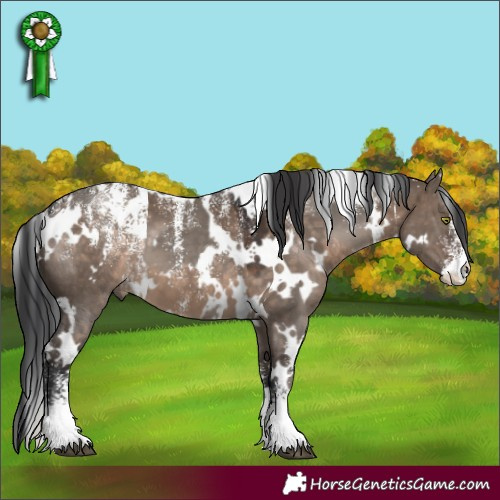 Horse Color:Powder White White Spotted Silver Black and Powder White White Spotted Brown Dun