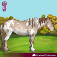 Horse Color:White Spotted Grullo Pearl Brindle 