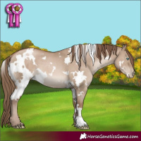 Horse Color:White Spotted Grullo Pearl Brindle 