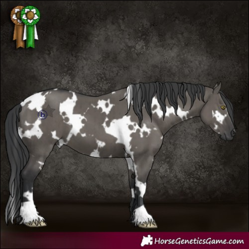 Horse Color:White Spotted Grullo Brindle 