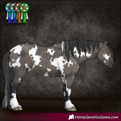Horse Color:White Spotted Grullo Brindle 