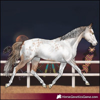 Horse Color:Gray Gold Champagne Splash Tobiano Blanket 