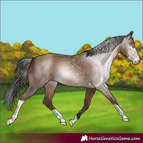 Horse Color:Gray Amber Champagne Tobiano