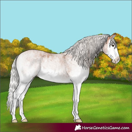 Horse Color:White Spotted Silver Bay Splash 