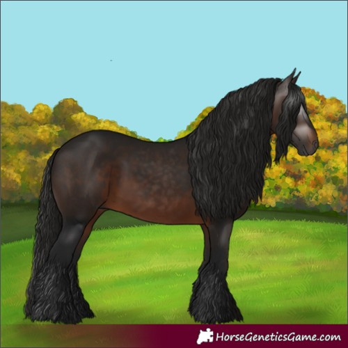 Horse Color:Gray White Spotted Bay