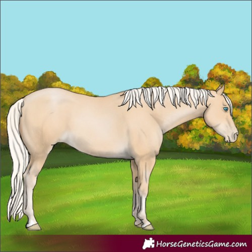 Horse Color:Silver Smoky Black Pearl 