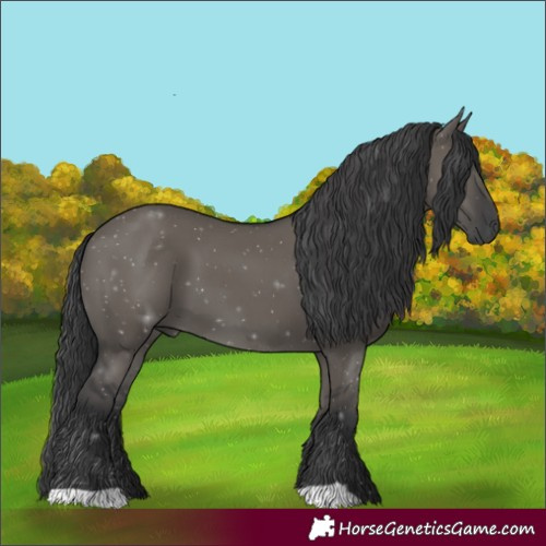 Horse Color:Grullo 