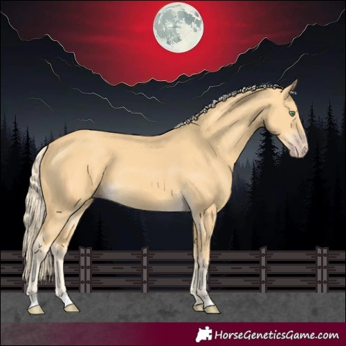 Horse Color:Gold Cream Champagne 