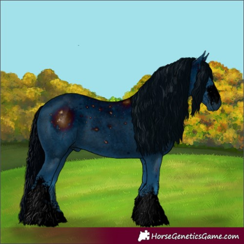 Horse Color:ERROR: UNKNOWN ANOMALY