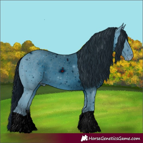 Horse Color:ERROR: UNKNOWN ANOMALY