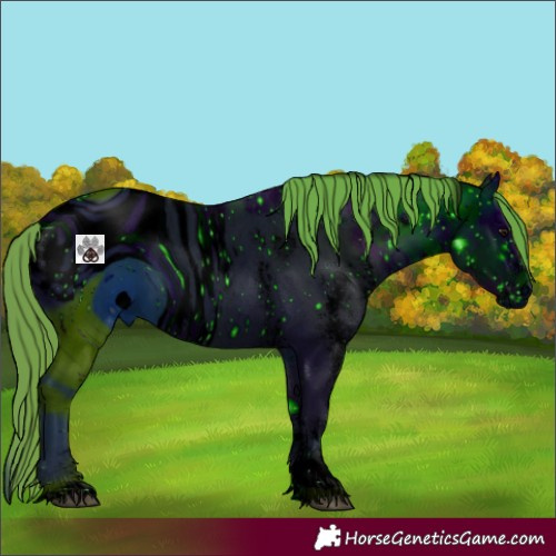 Horse Color:ERROR: UNKNOWN ANOMALY