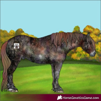 Horse Color:Nacre Red Onyx Ice 