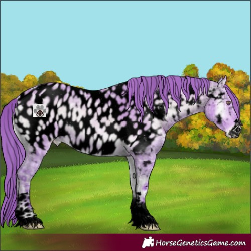 Horse Color:Void Watercolor Chocolate Bay Chinchilla Ice Onyx Appaloosa 