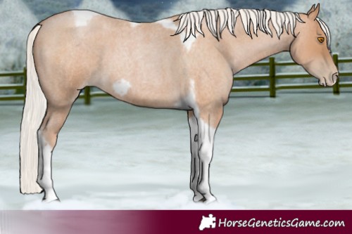 Horse Color:Silver Blue Roan Pearl Tobiano Frame 