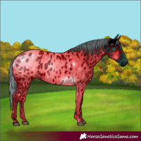 Horse Color:ERROR: UNKNOWN ANOMALY