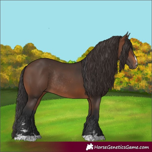 Horse Color:Brown Rabicano and Brown Rabicano