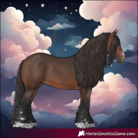 Horse Color:Brown Rabicano  and Brown Rabicano 