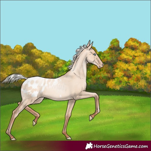 Horse Color:Silver Sable Champagne Pearl Dun Blanket 