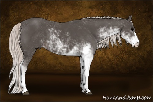 Horse Color:Silver Black Sabino